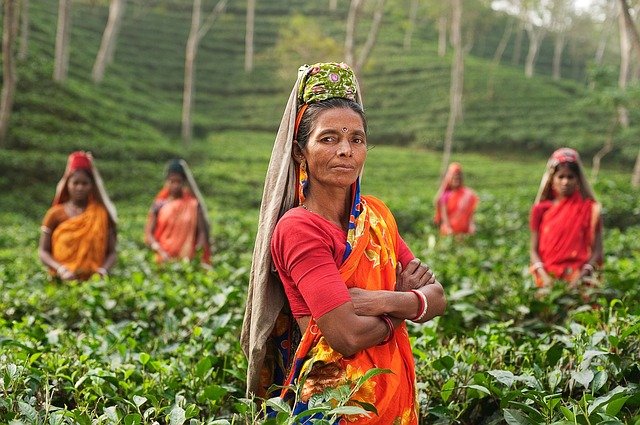 Lire la suite à propos de l’article Quelques traits caractéristiques de l’Inde